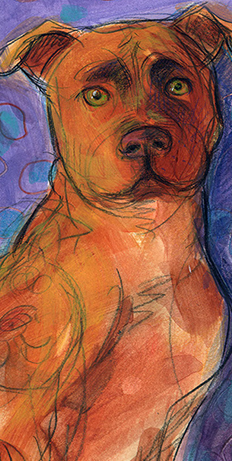 Pet Portrait, animals, mans best friend, fur, feathers, drawing, interpretive, dog, representational, realistic, offbeat, original, original art