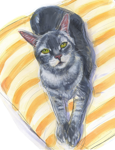 Pet Portrait, whimsy, art, sketch, paint, painting, watercolor, watercolor artist, unique, color, gestural, likeness, portrait, portraiture, pet