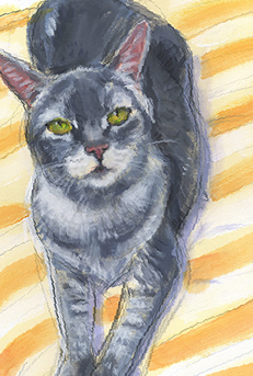 Pet Portrait, art, sketch, paint, painting, watercolor, watercolor artist, unique, color, kitty, likeness, portrait, portraiture, pet