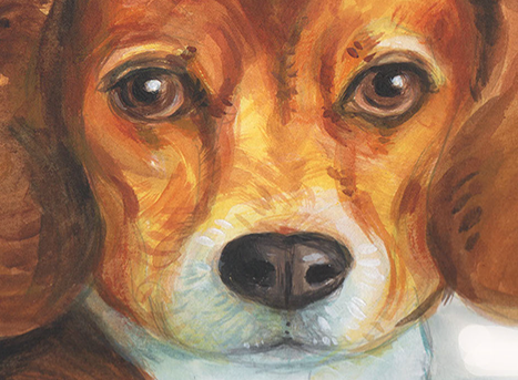 art, sketch, paint, painting, unique, color, gestural, likeness, portrait, portraiture, pet, mans best friend, fur, representational, realistic