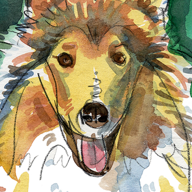 Collie, Pet Portrait, Pet Portrait, whimsy, family portraits with pets,pet portraits nyc, custom pet portraits etsy, whimsical pet portraits,